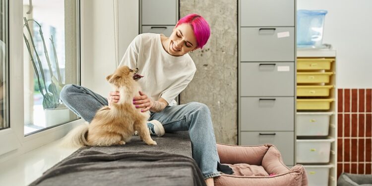 Como encontrar cuidadores de pet no Whatsapp para salvar a viagem de férias