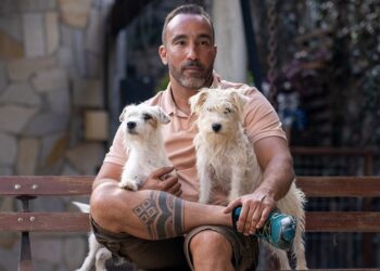 Sony e Mac, cachorrinhas treinadas em Valinhos, brilham nas telonas em “Chico Bento e a Goiabeira Maraviósa”