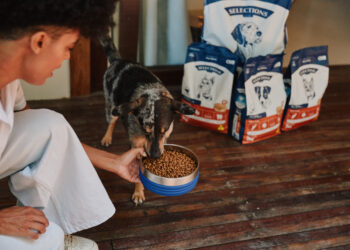 Grupo Petz entra para o mercado de alimentação seca com a marca ‘Selections’