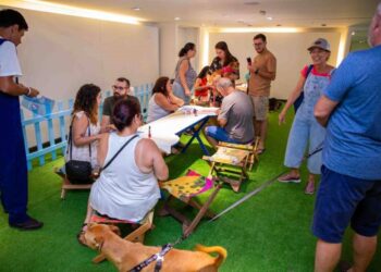 Galleria Shopping promove Summer Pet com atividades especiais para tutores e seus cães
