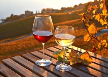 Quais vinhos mais combinam com o Outono?