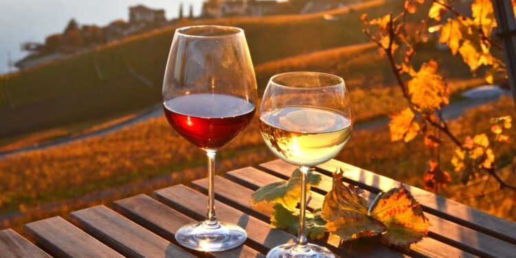 Quais vinhos mais combinam com o Outono?