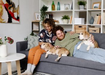 Pets influenciam o mercado imobiliário e a forma de morar do brasileiro