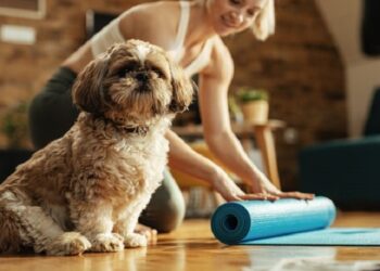 Os benefícios de ter um animal de estimação