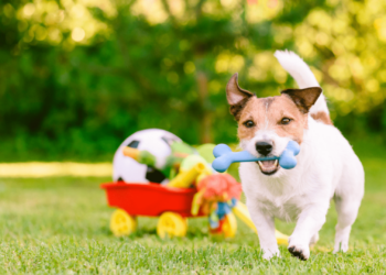Seu animal é feliz?