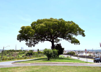 Semana do Meio Ambiente em Valinhos debate sobre caminho da sustentabilidade