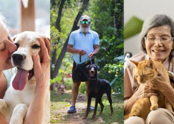 Animais de estimação proporcionam qualidade de vida para a terceira idade