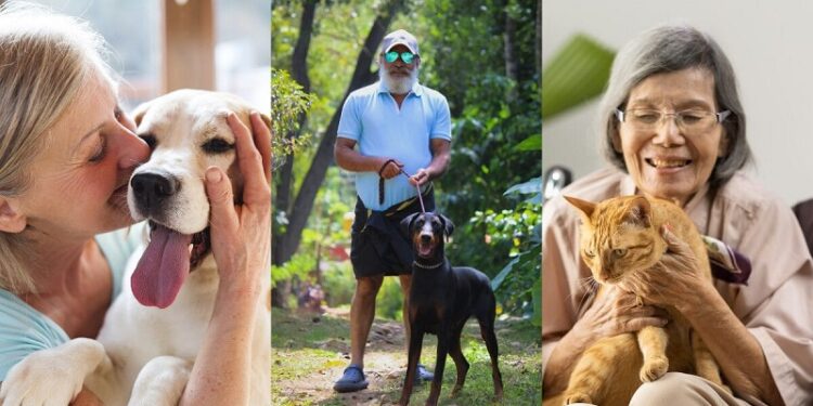 Animais de estimação proporcionam qualidade de vida para a terceira idade