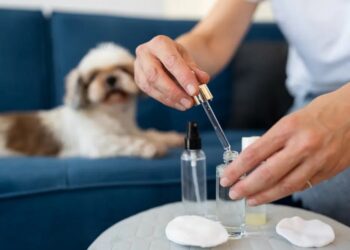 Uso de cannabis na Medicina Veterinária avança e traz resultados positivos para pets e tutores